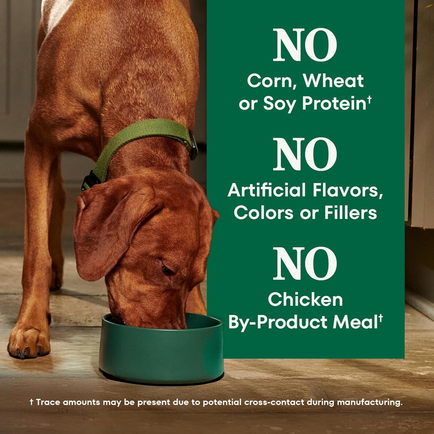 Nutro Natural Choice Chicken & Brown Rice Adult Dry Dog Food Recipe, 30 lb. Bag