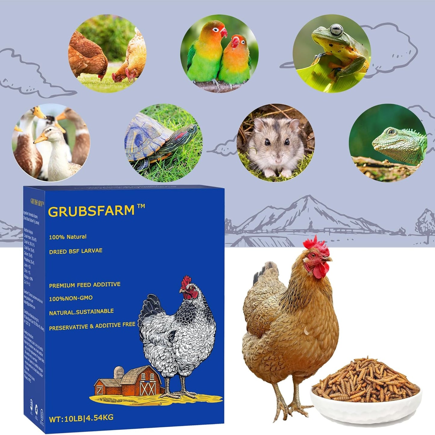 Premium Chicken Treats 10LB - Non-GMO & 85X More Calcium Than Meal Worms - Molting & Laying Supplement - BSF Larvae Treats for Layer Hens, Ducks Wild Birds
