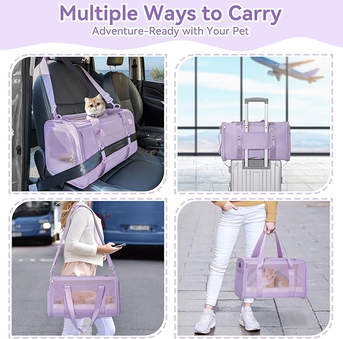 PETSFIT Cat Car Carrier for Medium Cats Dogs, 19"x12"x12" TSA Approved Pet Carrier, with Patent Safety Buckles and Escape-Proof Zipper - Safeguarding Car Travel, Vet Visit, Outdoor