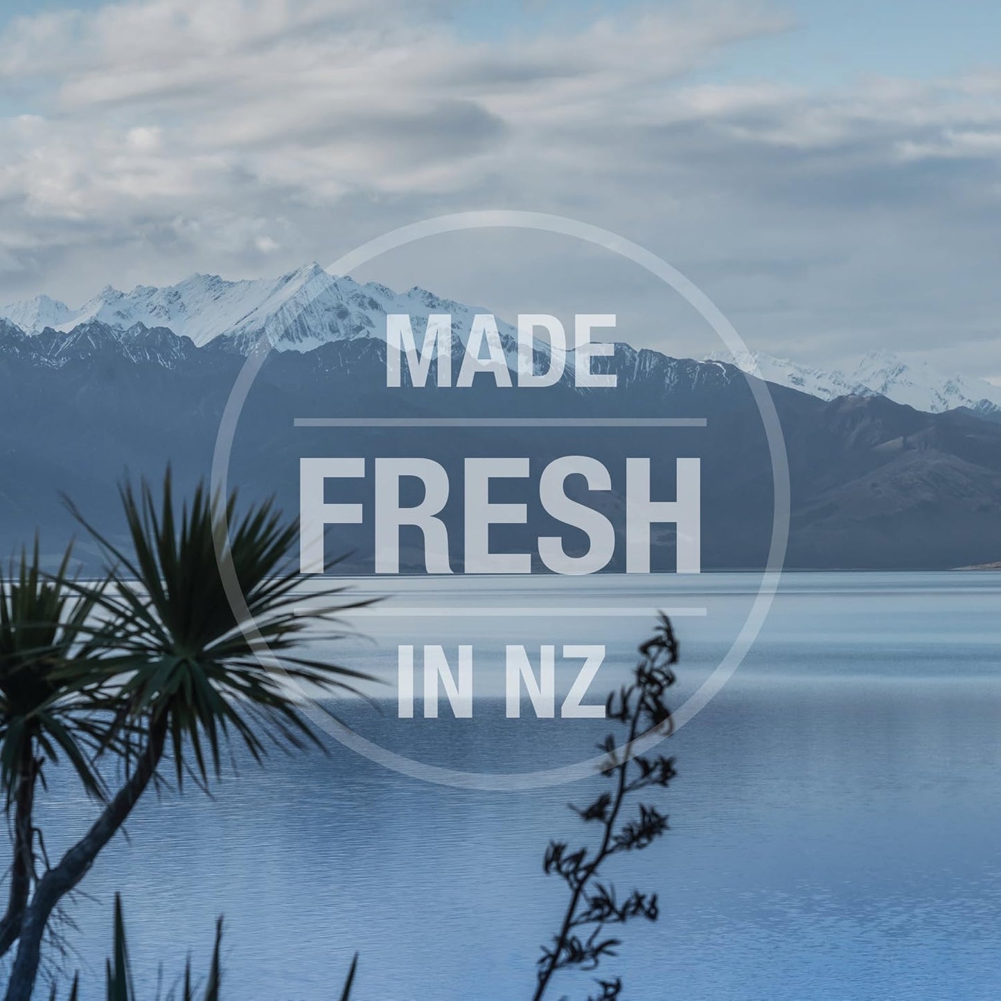 Feline Natural Freeze Dried Cat Treats – New Zealand Single-Source Protein Treats for Cats - Grain-Free Healthy Cat Snacks, Chicken Bites, 1.76oz