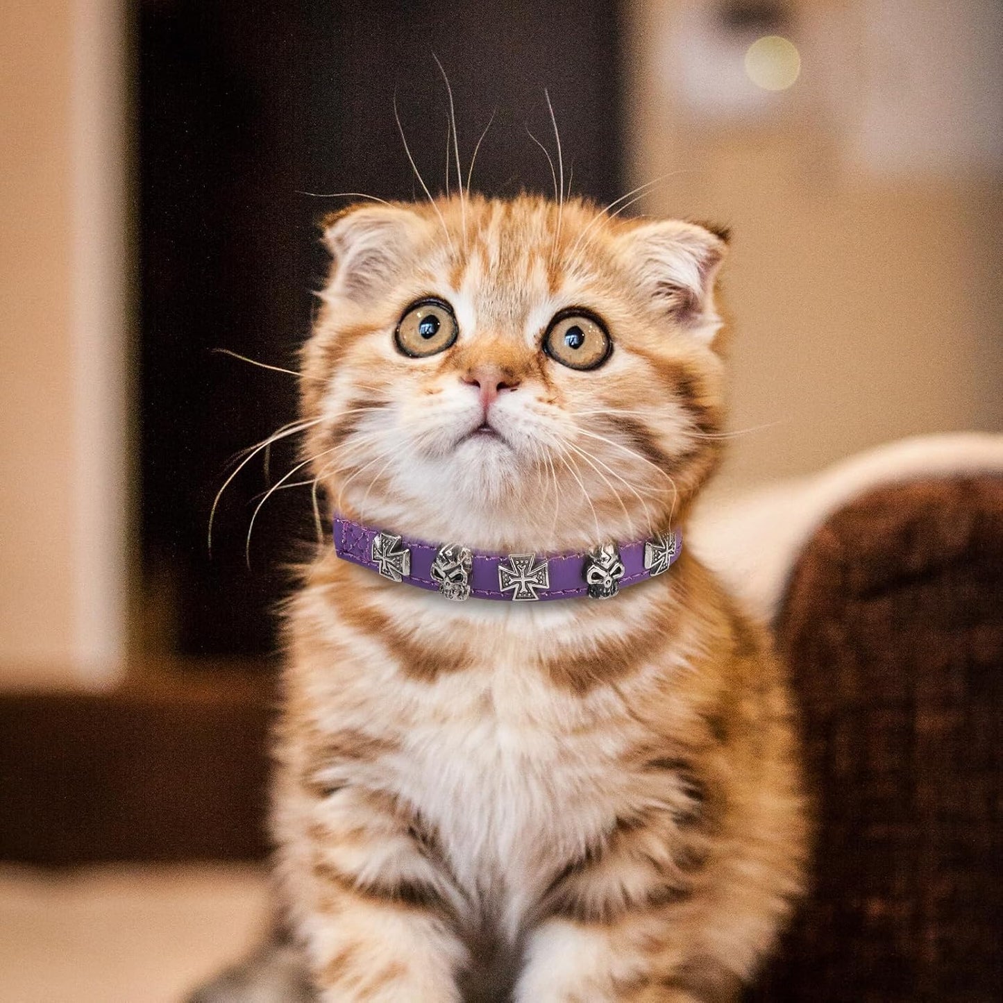 EXPAWLORER Leather Cat Collar for Girl Boy- Adjustable Pet Collar with Safety Elastic Belt,Personalized Punk Accessories Buckle Collars with Bell & Durable D-Ring, Skull(Purple)