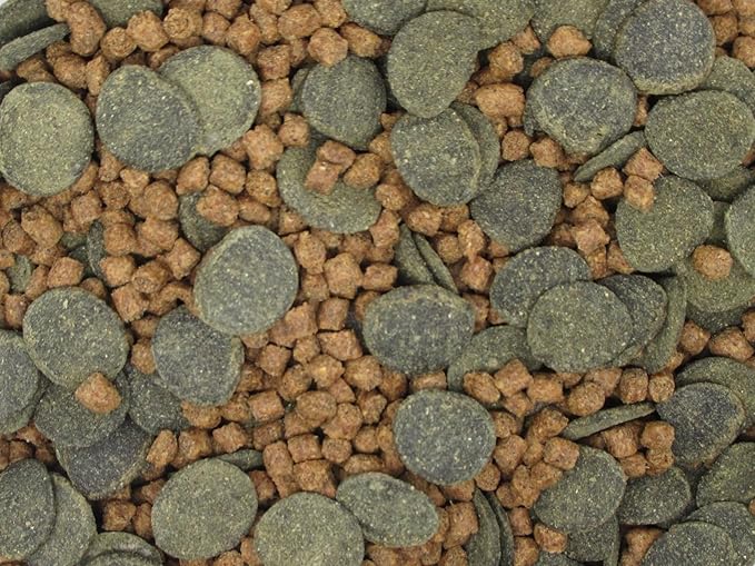 Micro Mix - Sinking Blended Diet for Snails, Shrimp & Bottom Feeding Fish (1.5 oz (42.5g))