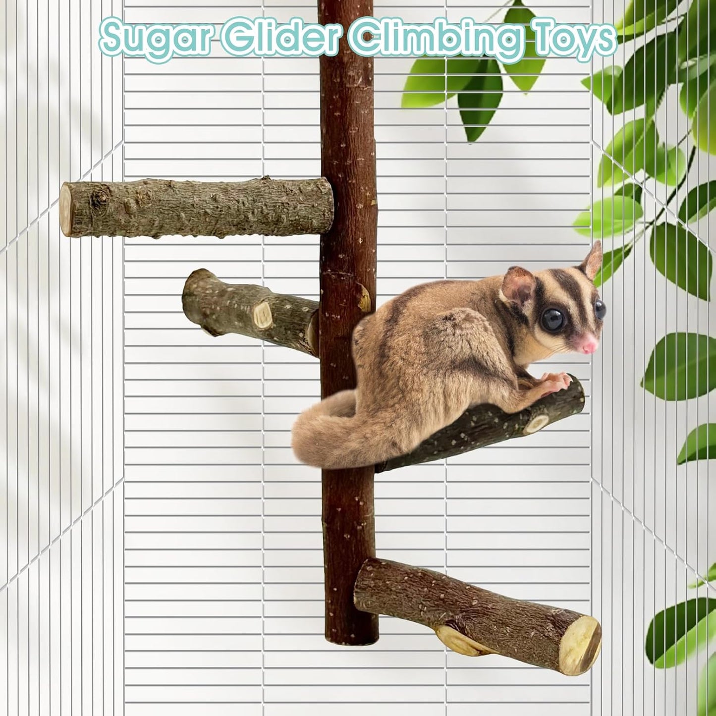 BNOSDM Sugar Glider Toy Natural Fruitwood Perch Stand Squirrel Hanging Wooden Climbing Pole Hamster Paw Grinding Perch Small Animal Cage Accessories for Chinchillas Rats Gerbil