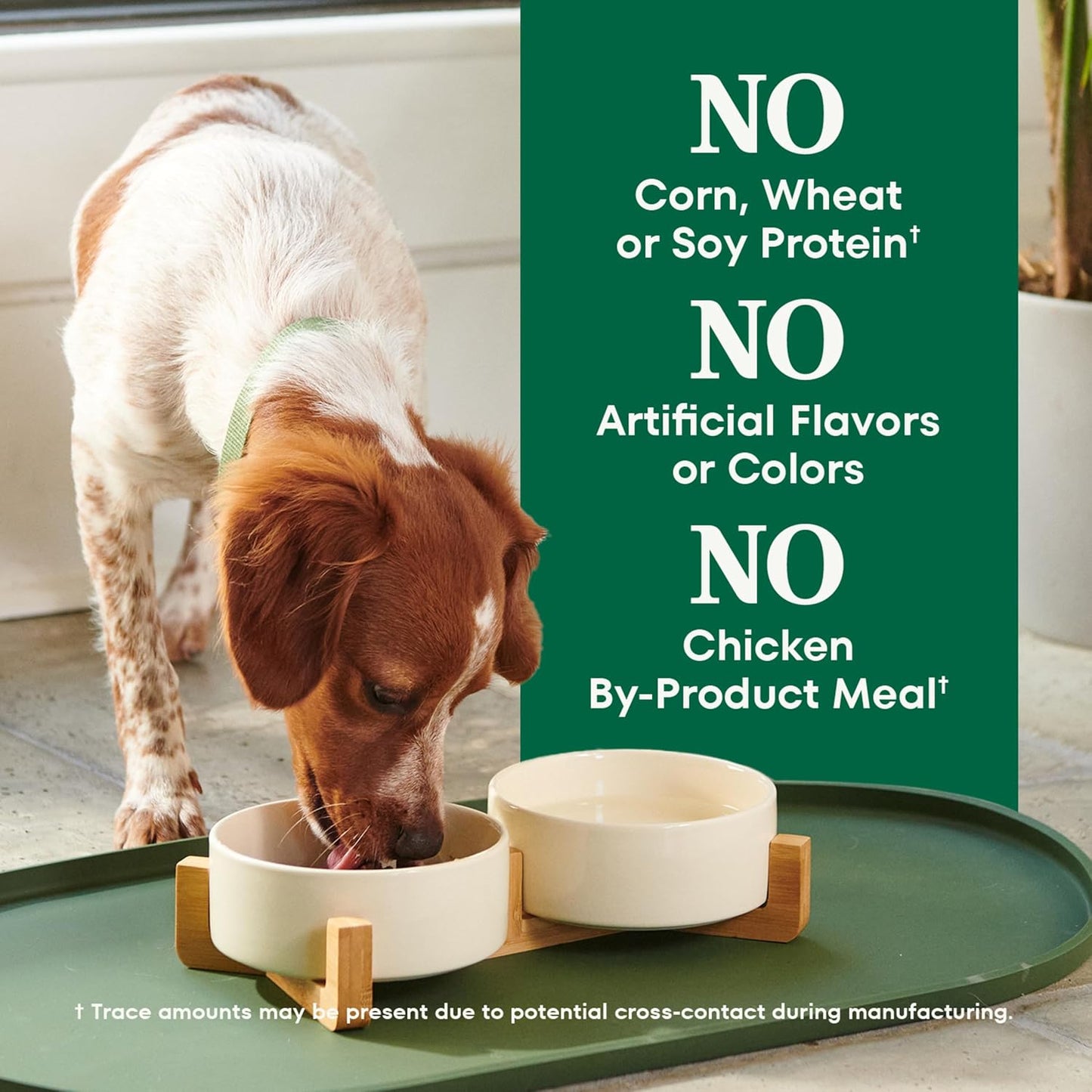 Nutro Natural Choice Chicken & Brown Rice Small Breed Senior Dog Food Dry Recipe, 5 lb. Bag