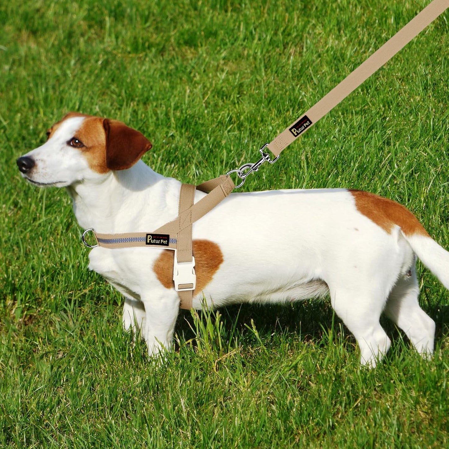 Plutus Pet Cotton Dog Harness and Leash Set, Reflective and Soft Padded, Quick Fit Vest Harness, for Small, Medium and Large Dogs, Beige, XXS