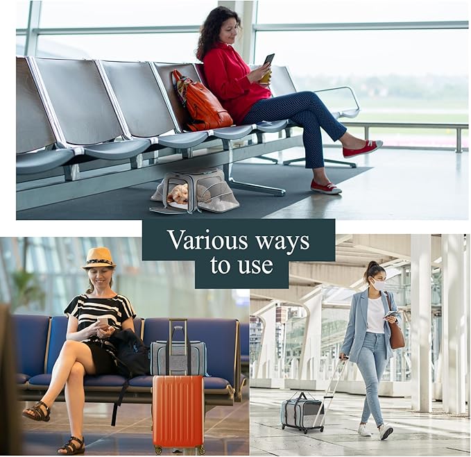 Katziela Rolling Rover Airline Compliant Expandable Premium Pet Carrier 6-Wheeled Baseboard Telescopic Handle Two-Sided Expandable Rolling Carrier Designed (Gray- Blue Piping)