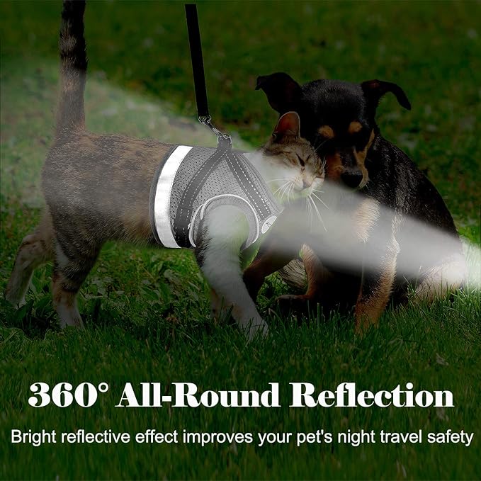 Cat Harness and Leash for Walking, Kitten Escape Proof Harnesses, Adjustable Reflective Puppy Harness with Leashes Set, Easy Adjustable Soft net Breathable Pet Safety Vest XS (Chest: 6" - 8") Grey