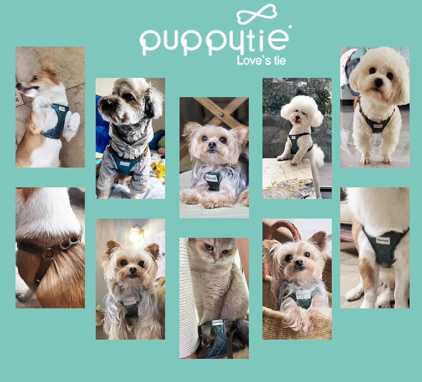 Puppytie No Pull Small Dog Harness with Multifunction Dog Leash,Lightweight Soft Adjustable No Choke Escape Proof Pet Harness Vest Pet Harness Vest,Glossy Dark Green,S