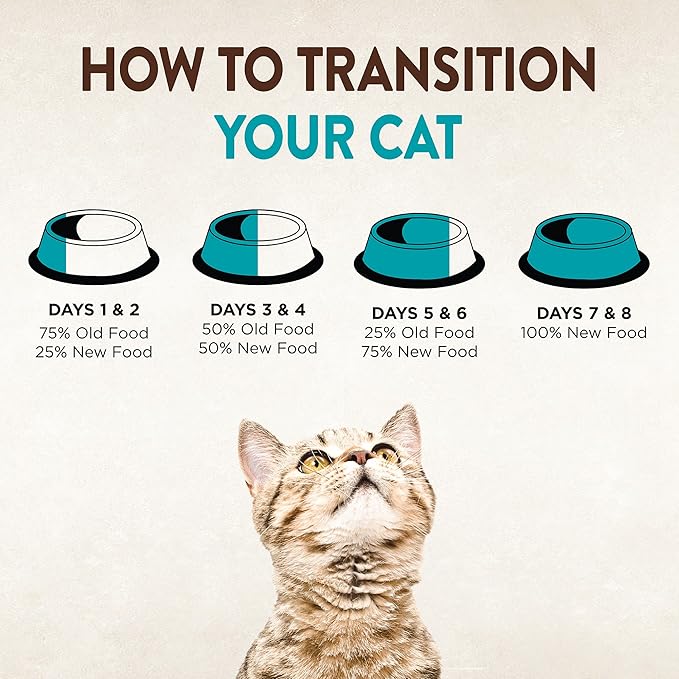 Wellness CORE Signature Selects Flaked Adult Wet Cat Food, Natural, Protein-Rich, Grain Free, 2.8 Ounce, 12 Pack (Skipjack Tuna & Shrimp)