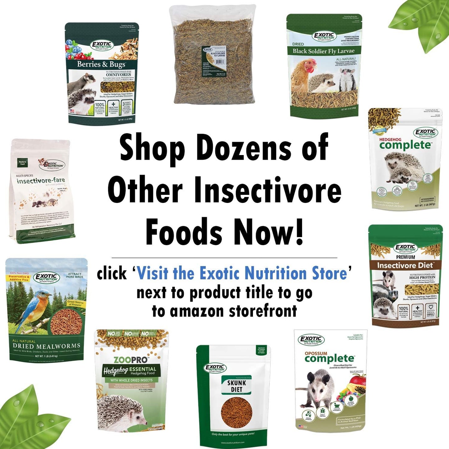 Premium Insectivore Diet (2.5 lb.) - Healthy Nutritious Chicken Based High Protein Pellet Diet - for Sugar Gliders, Hedgehogs, Opossums, Skunks & Other Insectivores