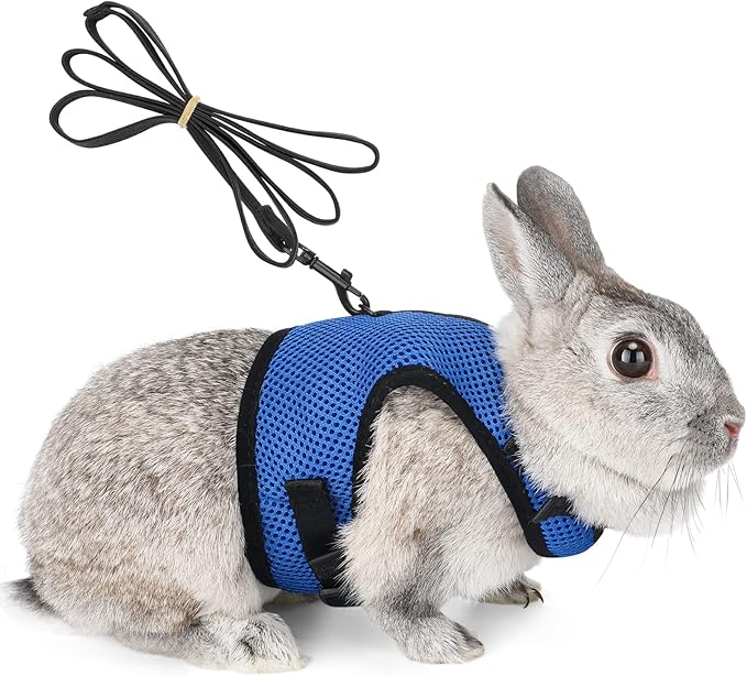 PETTOM Bunny Rabbit Harness with Stretchy Leash Cute Adjustable Buckle Breathable Mesh Vest for Kitten Small Pets Walking (Blue,XS)