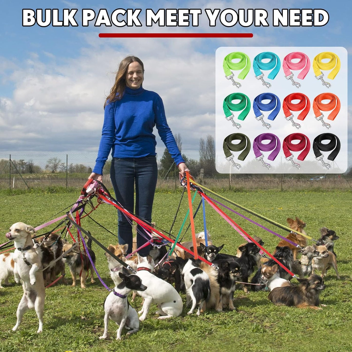 Hillban 36 Pcs Dog Leash Bulk 5 ft Multicolored Puppy Training Leash Slip Pet Traction Nylon Rope for Small Medium Dogs Agility, Yard, Camping, Backyard Play(12 Colors)