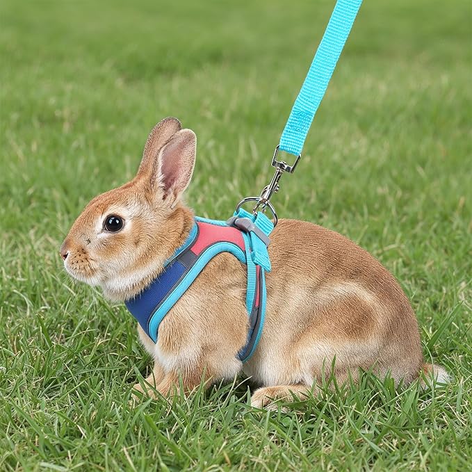 Adjustable Bunny Harness and Leash Set, Double Buckles Breathable Mesh Rabbit Vest with Reflective Strips, Escape Proof Small Pet Walking Training Gear for Rabbits, Kittens, Ferrets, Guinea Pigs (M)