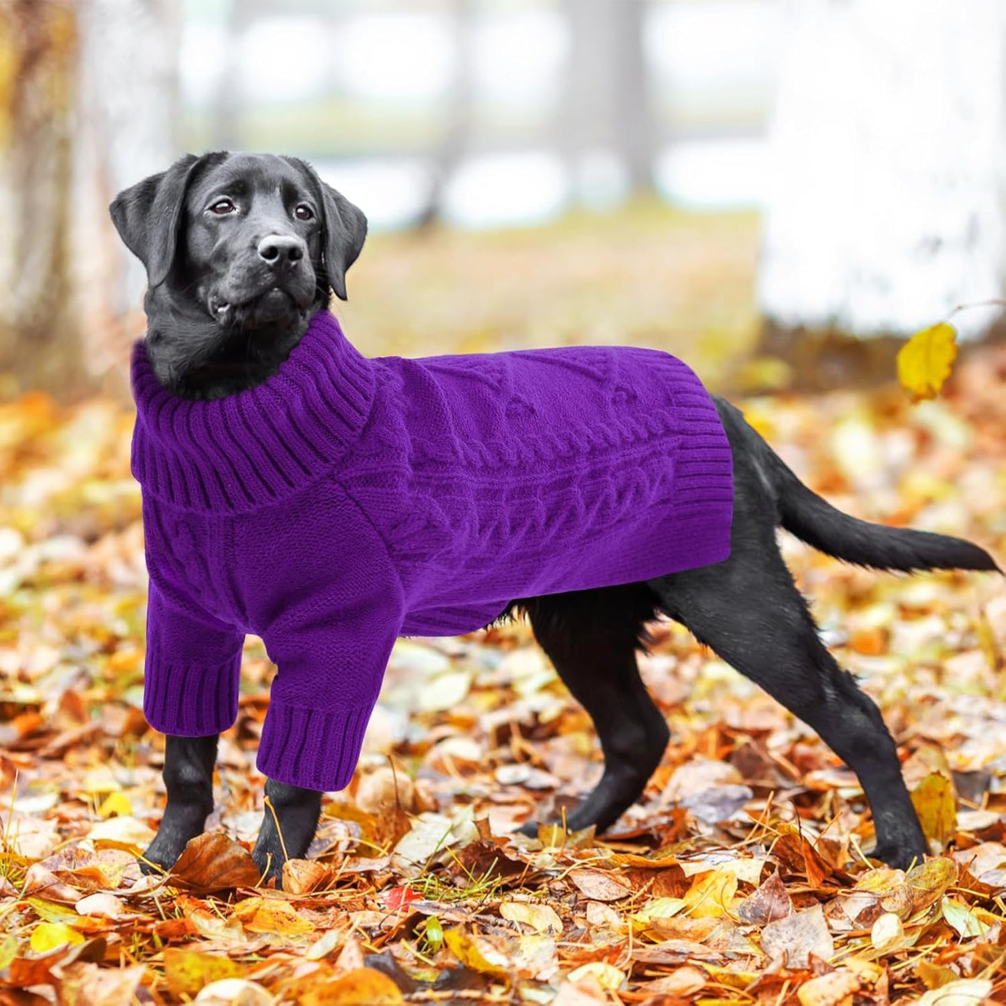 ASENKU Knitted Dog Sweater, Pullover Big Thermal Dog Winter Sweater, Turtleneck Doggy Sweaters for Large Medium Dogs Boy Girl,Warm Pet Sweatshirt for Labrador,Golden Retriever,3XL