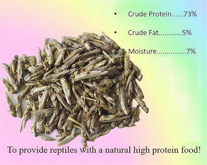 2oz Freeze-Dried Grasshoppers - Nutritious Reptile & Amphibian Food for High Protein and Essential Amino Acids