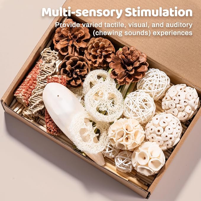 40 Pcs Bird Parrot Toys, Natural Bird Foraging Toy for Cockatiels, Lovebirds, Budgies, Small to Medium Parrot