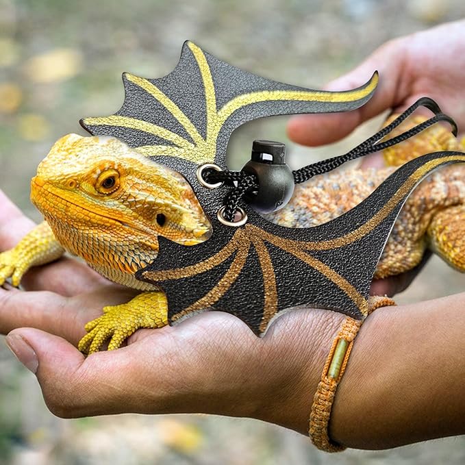 Bearded Dragon Leash and Harness Set,3 Size Adjustable Reptile Harness with Dinosaur Wings Safe Walking Accessories for Bearded Dragons,Lizards Small Reptiles Breathable and Escape Proof Design Black