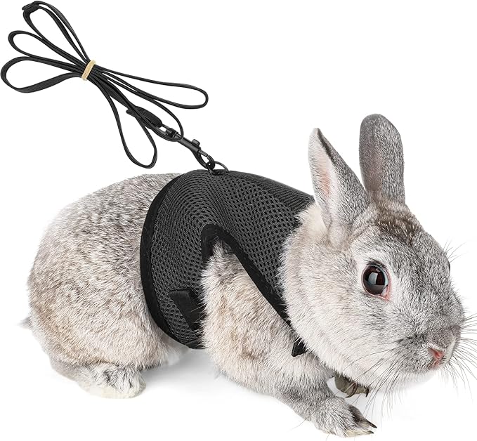 PETTOM Bunny Rabbit Harness with Stretchy Leash Cute Adjustable Buckle Breathable Mesh Vest for Kitten Small Pets Walking (Black,XL)