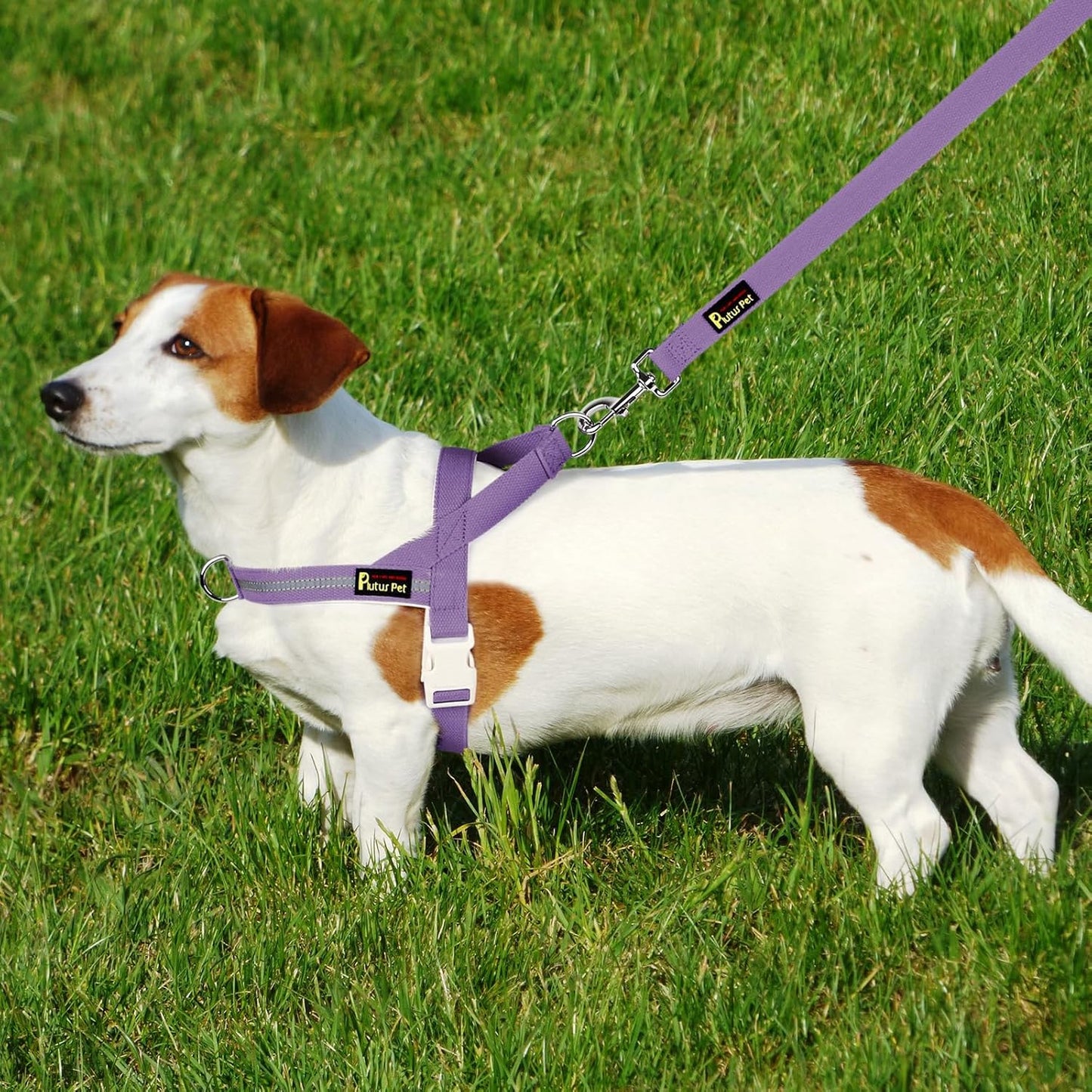 Plutus Pet Cotton Dog Harness and Leash Set, Reflective and Soft Padded, Quick Fit Vest Harness, for Small, Medium and Large Dogs, Medium Purple, L