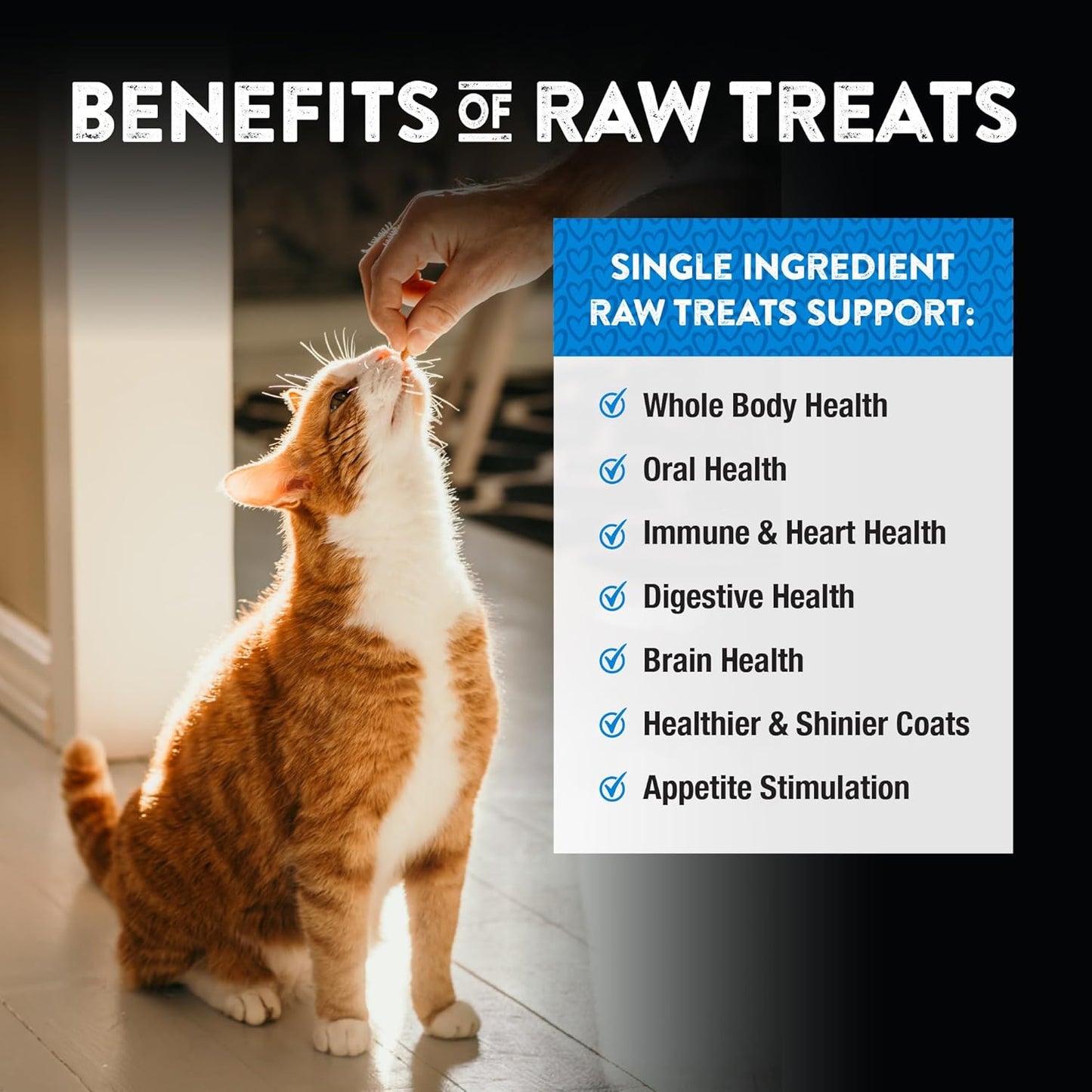 Northwest Naturals Raw Rewards Freeze-Dried Chicken Heart Treats for Dogs and Cats - Bite-Sized Pieces - Healthy, 1 Ingredient, Human Grade Pet Ingredients, Natural, Made in USA, 10 Oz (Pack of 3)