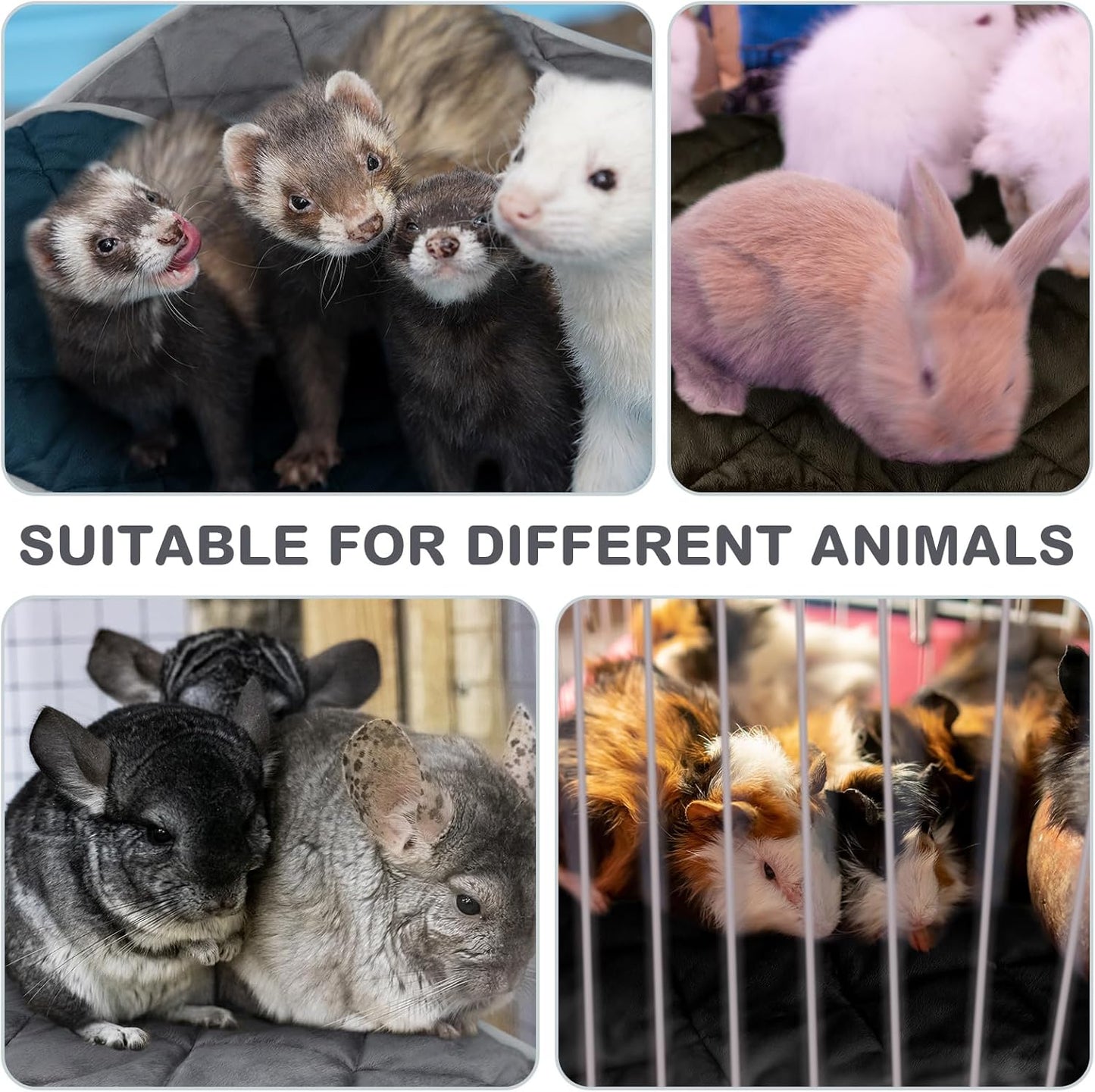 8 Pack Self Heating Cat Mat Self Warming Cat Bed 20"x16" Extra Warm Thermal Pet Bed Mat Reflects Body Heat Washable Dog Crate Pad for Indoor Outdoor Pets(Mixing Color)