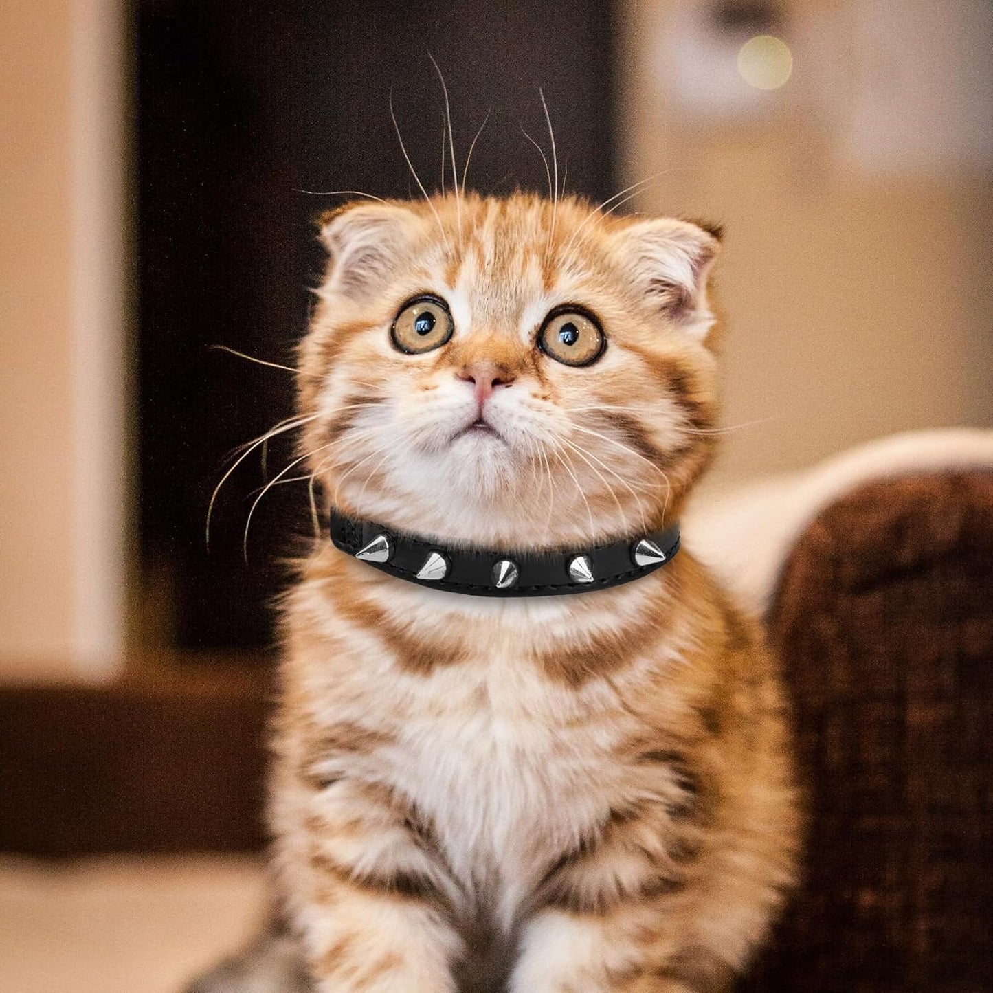 EXPAWLORER Leather Cat Collar for Girl Boy- Adjustable Pet Collar with Safety Elastic Belt,Personalized Punk Accessories Buckle Collars with Bell & Durable D-Ring,Pure Rivets(Black)