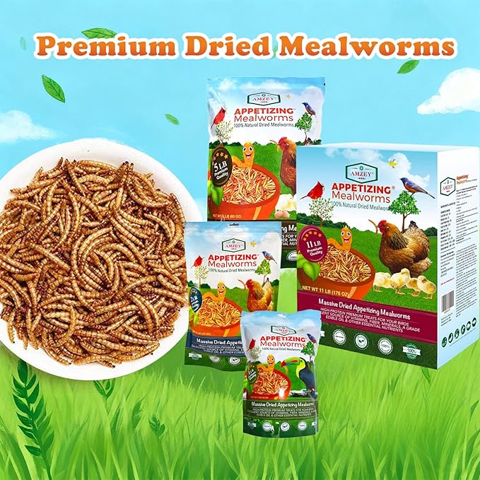 Amzey Dried Mealworms 11 LBS - 100% Natural for Chicken Feed, Bird Food, Fish Food, Turtle Food, Duck Food, Reptile Food, Non-GMO, No Preservatives, High Protein and Nutrition