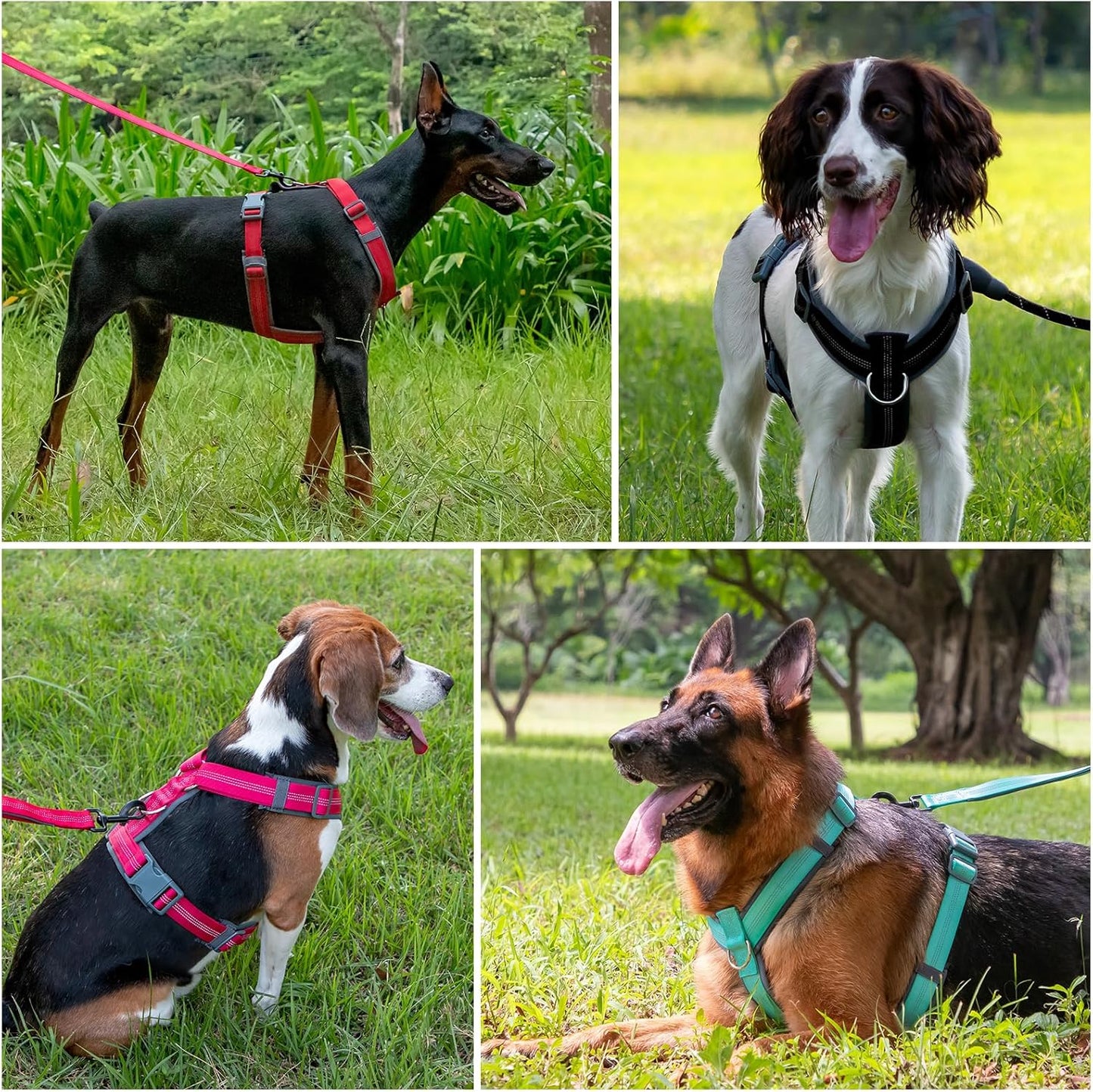 Plutus Pet No Pull Dog Harness, Adjustable Nylon Harness with Soft Padding, Reflective and Heavy Duty Dog Harness for Small, Medium, Large Dogs(Red, M)