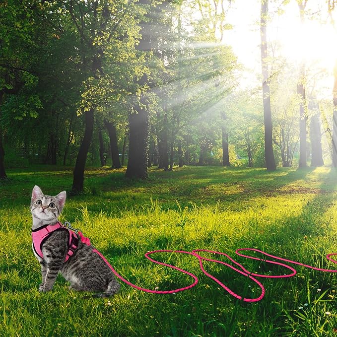 Reflective Cat Leash -15FT Cat Cable Out Escape Proof Walking Yard Long Durable Safe Leash Traning Play Outdoor for Puppies/Kittens/Small Animals(Hotpink)