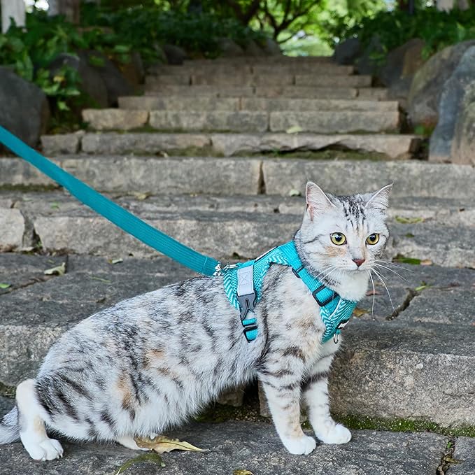 Cat Harness and Leash Escape Proof Small Kitten Harness Abyssinian Cat Vest for Walking Travel, Turquoise, S