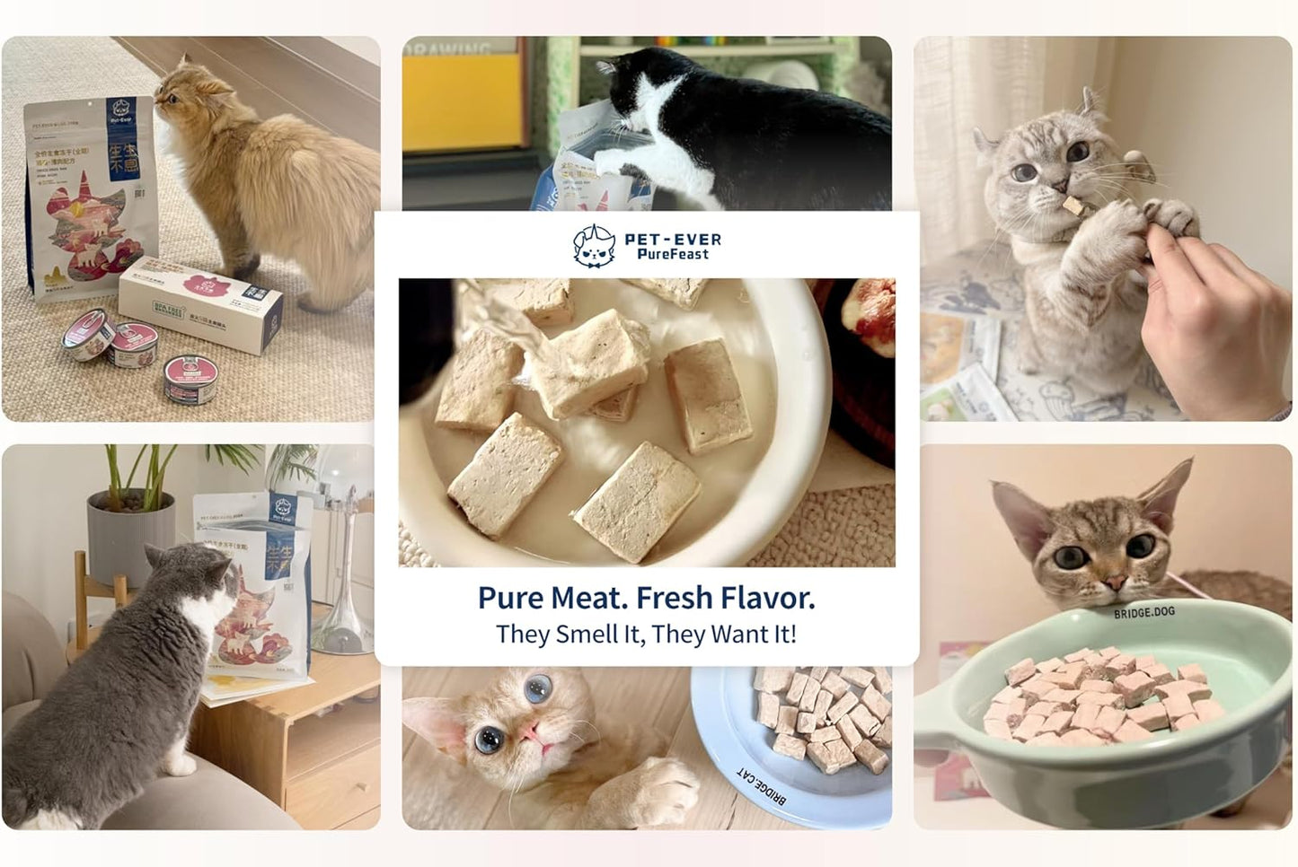 Freeze-Dried Cat Food, 97% Animal Origin Soft Dry Food for Cats Kitten, High Protein Healthy Freeze Dried Cats Raw Treat & Topper (Pork Recipe - 14 Ounce)