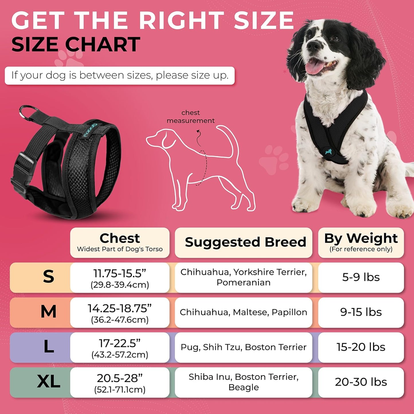 Gooby Comfort X Head In Harness - Black, Medium - No Pull Small Dog Harness Patented Choke-Free X Frame - Perfect on the Go Dog Harness for Medium Dogs No Pull or Small Dogs for Indoor and Outdoor Use