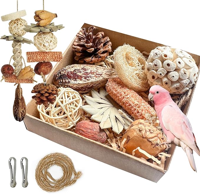 2 in 1 Parrot Toys, Tyotrbs Parakeet Foraging Box DIY Hanging String with Comes with 2 Hooks Bird Toy for Parakeets,Cockatiels,Conures,Love Birds Cage Accessories for Small to Medium Birds