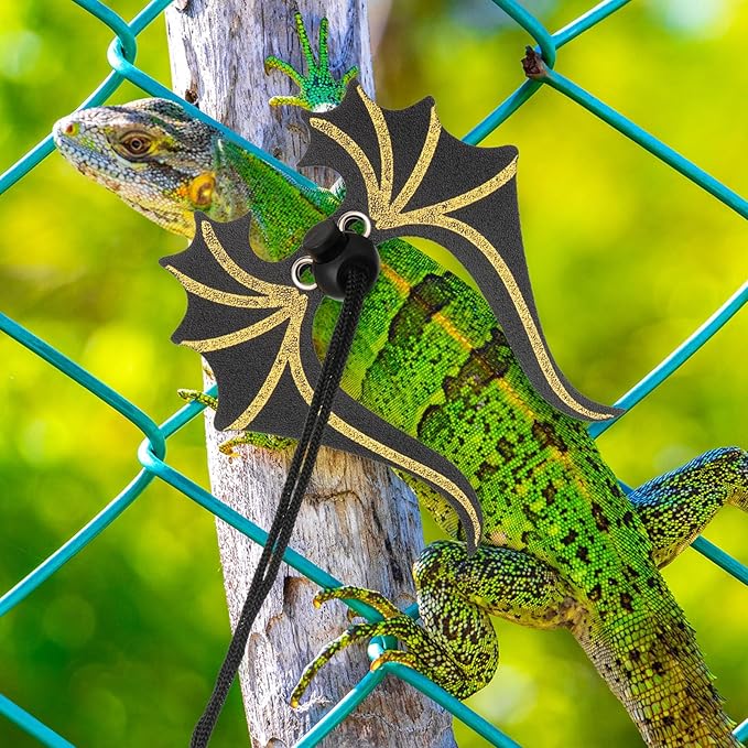 Bearded Dragon Leash and Harness Set 3 Size Pack Adjustable Cool Leather Lizard Leash with Dinosaur Wings for Reptile Safety Walking Accessories, Black