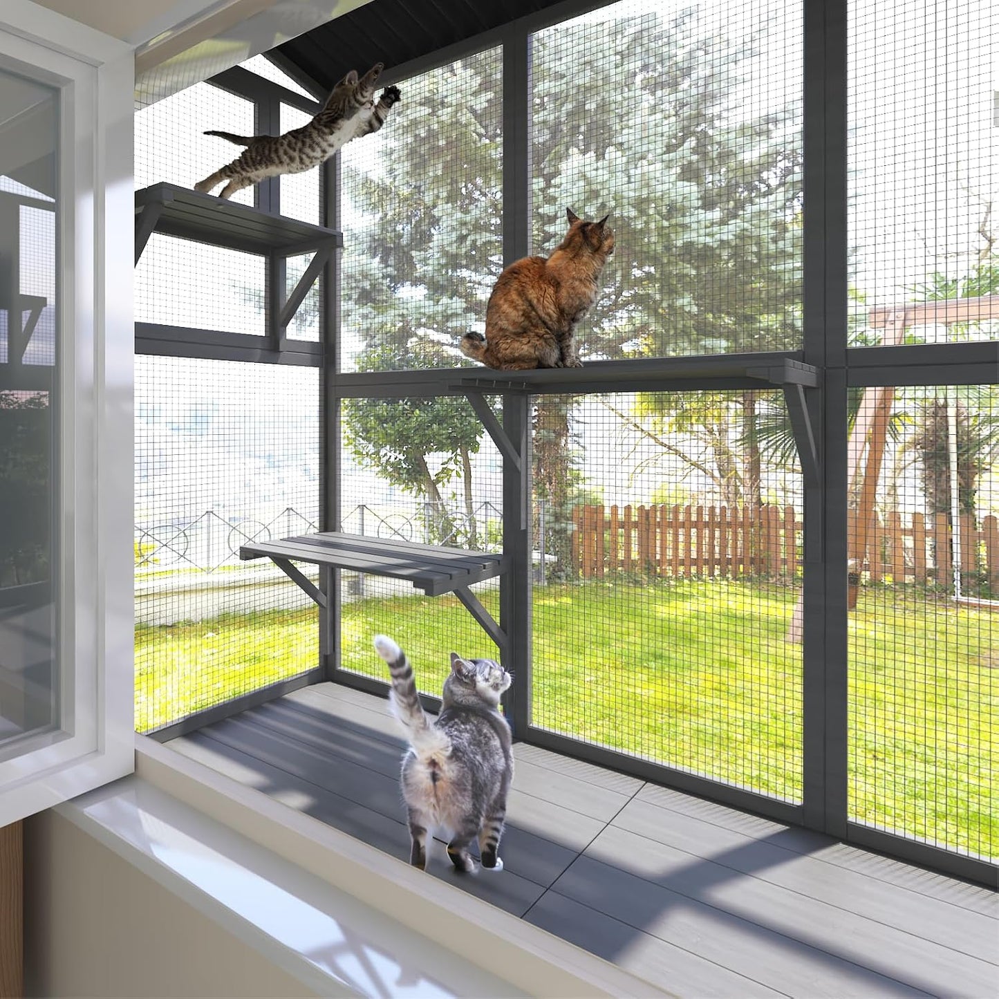 Cat Catio, Window Catio for Multiple Indoor Cats with 4 Jump Platforms, Cat Window Perch for Playing, Sunbathing, Napping, Waterproof Window Box Enclosure for Safely Enjoying Outdoor Sights