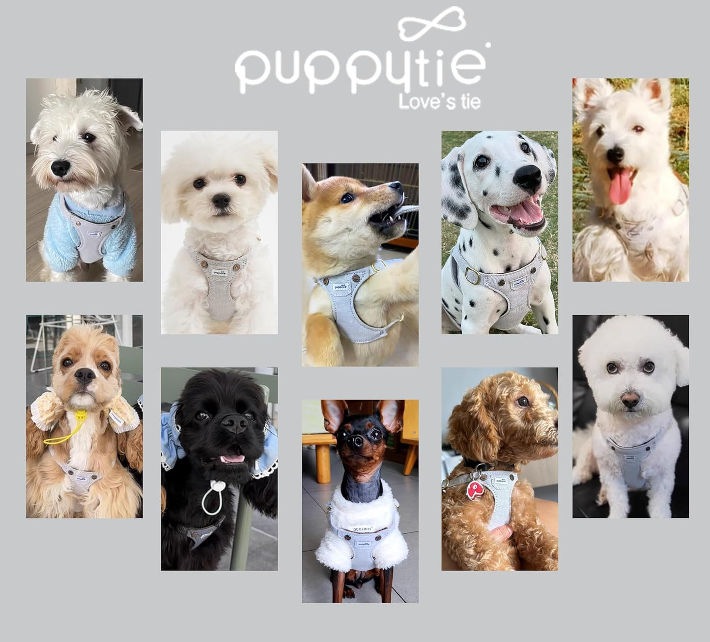 Puppytie No Pull xs Dog Harness with Multifunction Dog Leash,Soft Adjustable No Choke Escape Proof Pet Harness Vest,denimn Gray,xs