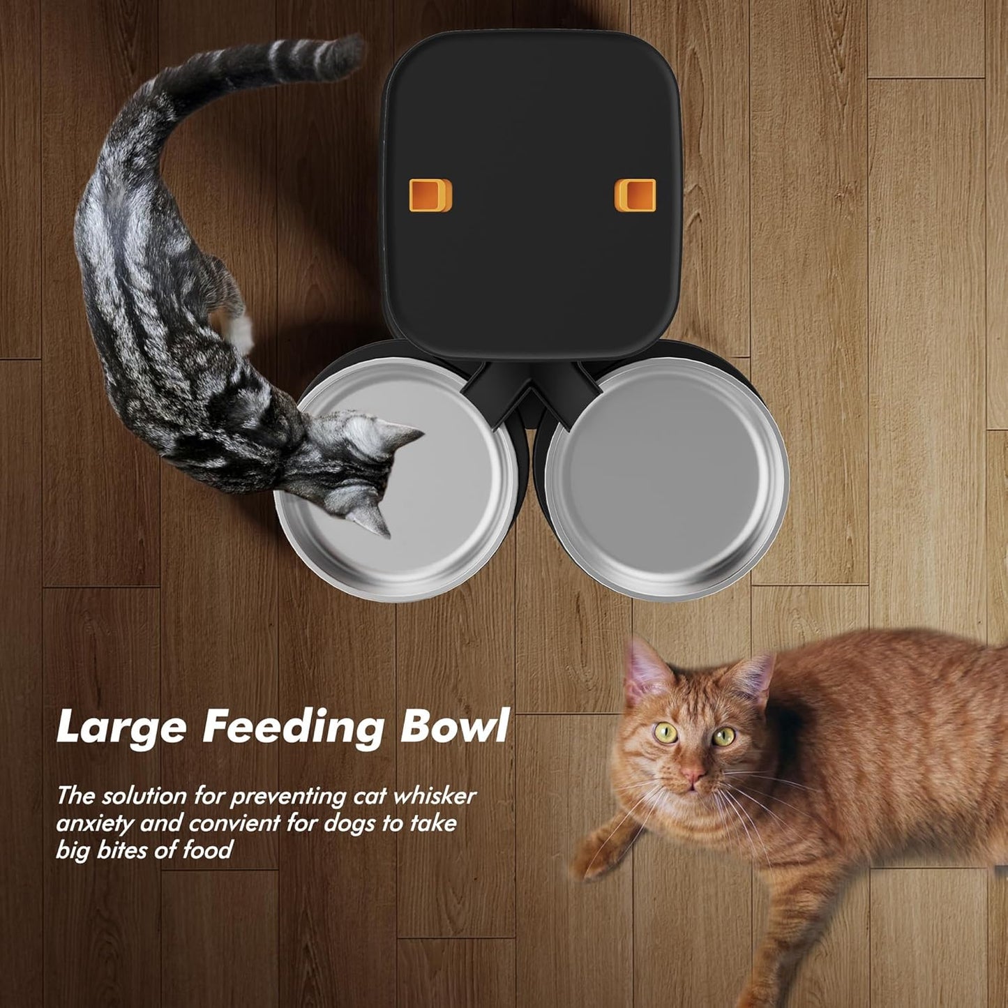 Automatic Cat Feeder for 2 Cats - 8L/34 Cups Large Capacity Auto Cat Food Dispenser with LCD Screen, 2 Food Trays, Timed Feeder, Up to 50 Portions 6 Meals Per Day, Keep Fresh