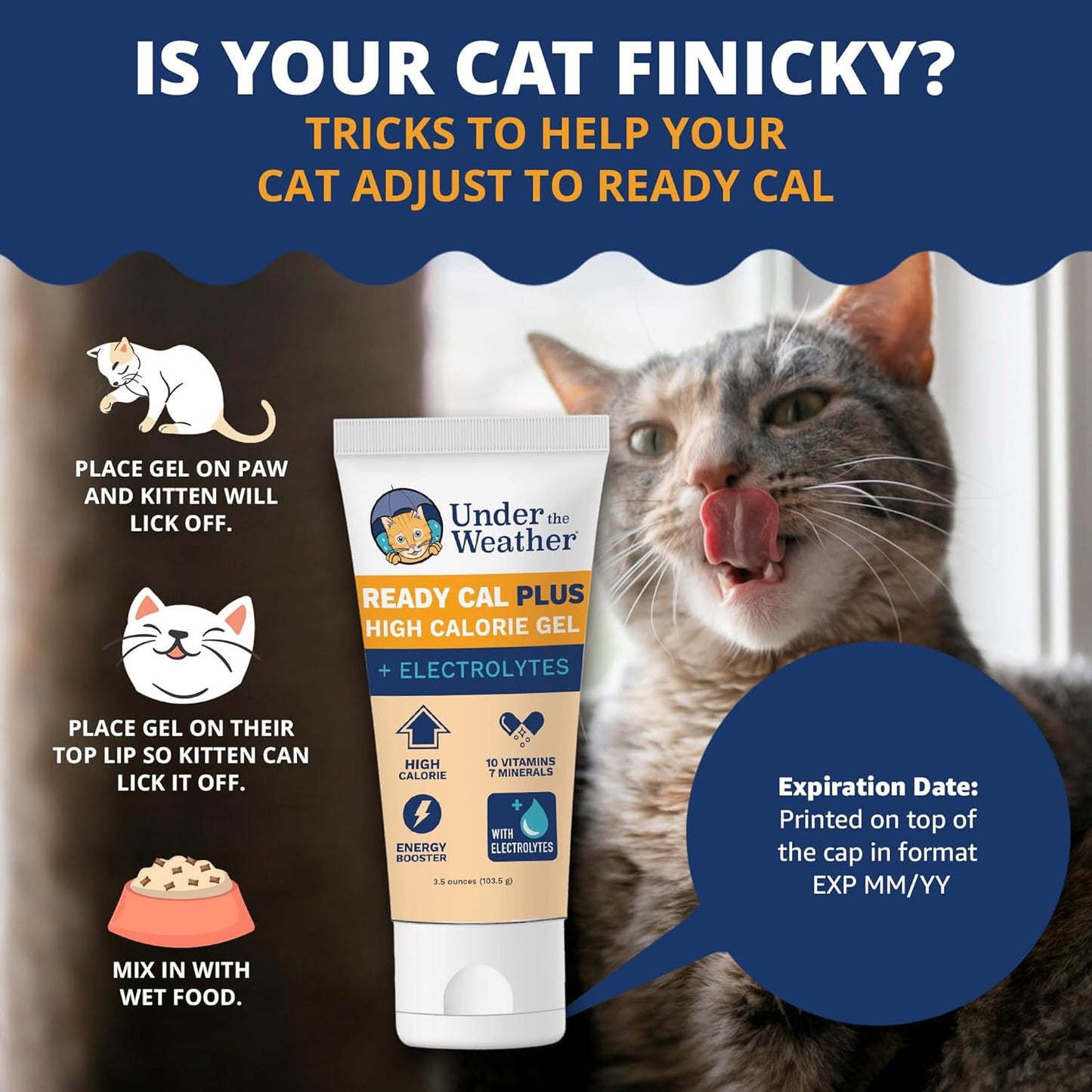 Under the Weather Pet Electrolytes Ready Cal Plus Gel for Cats | Vet-Formulated High-Calorie Supplement for Cats & Kittens | Promotes Weight Gain & Boosts Energy for Sick Felines | 3.5 Oz Tube Pack