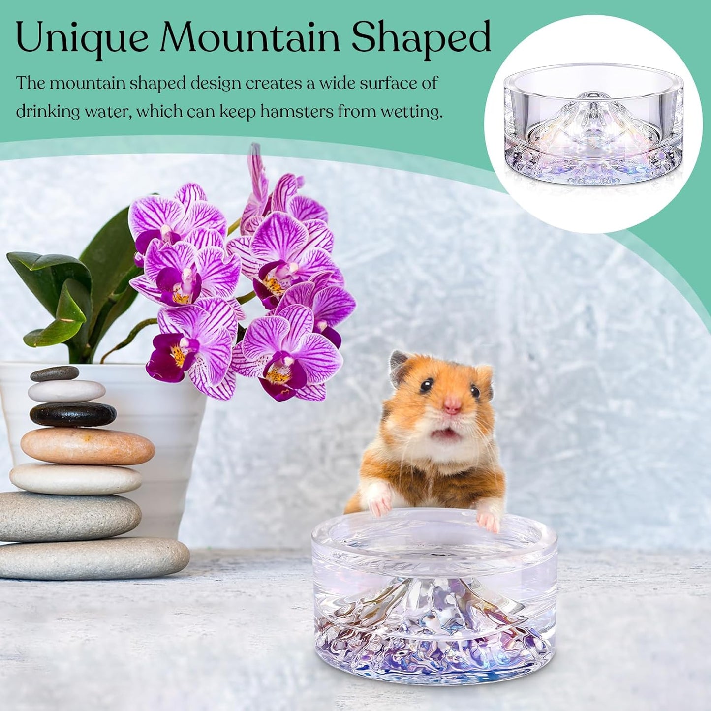 Baderke 2 Pcs Hamster Water Bowls Glass Hamster Food Bowls 35ml Mountain Style Drinking Container Anti Turning for Guinea Pig Gerbils Mice Rats Chinchilla Small Pets(Clear and Rainbow)