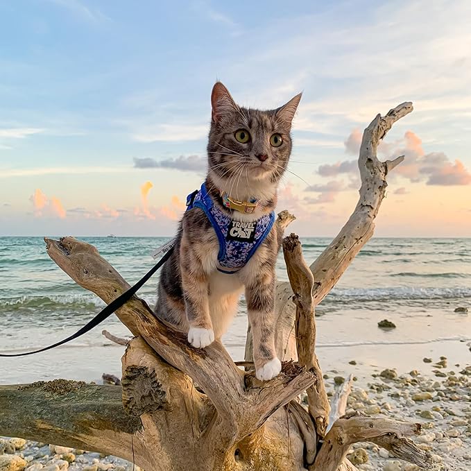 Travel Cat Harness and Leash Set - Adjustable Fit Mesh Cat Harness and Reflective Strap - Comfort Walking Vest for Kitten for Outdoor Walking, Hiking (Large, Groovy)