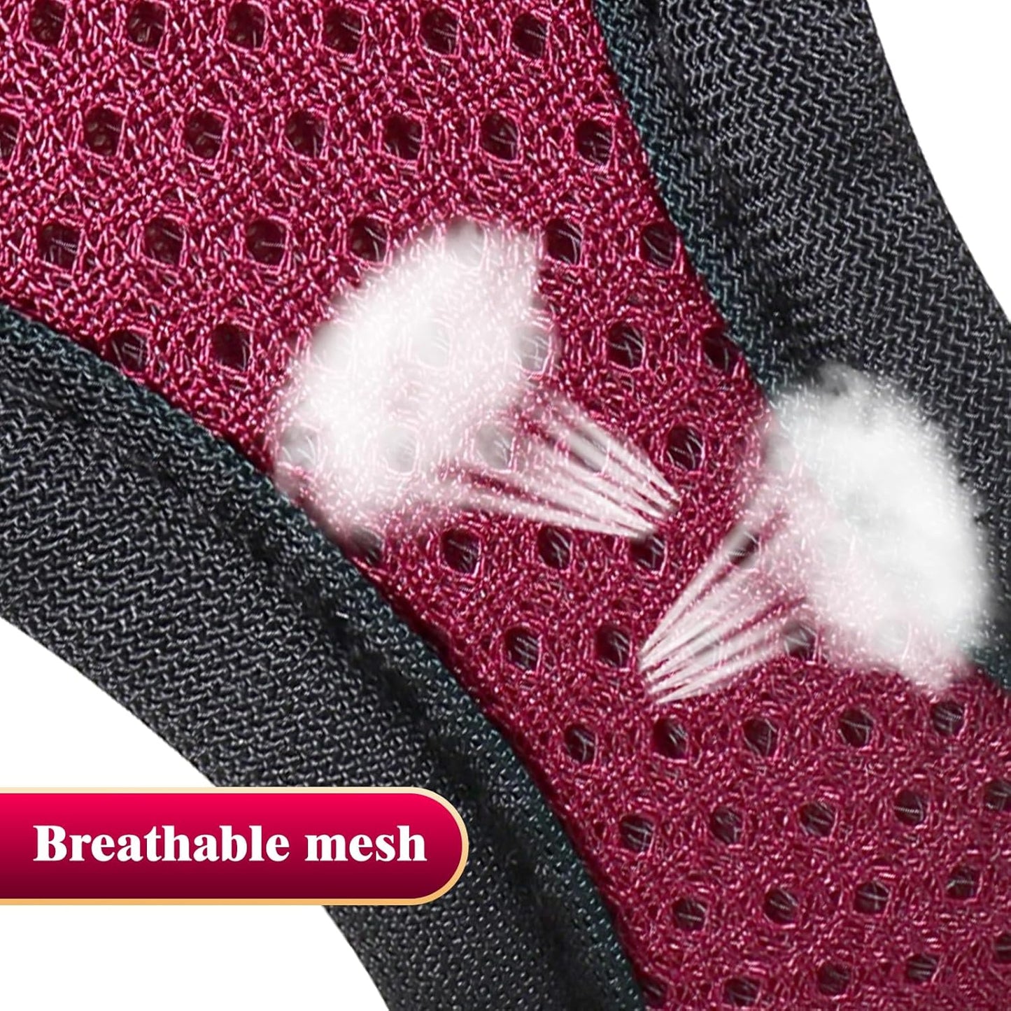 YIMEIS Dog Harness and Leash Set, No Pull Soft Mesh Pet Harness, Reflective Adjustable Puppy Vest for Small Medium Large Dogs, Cats (Grape Purple, Small (Pack of 1)