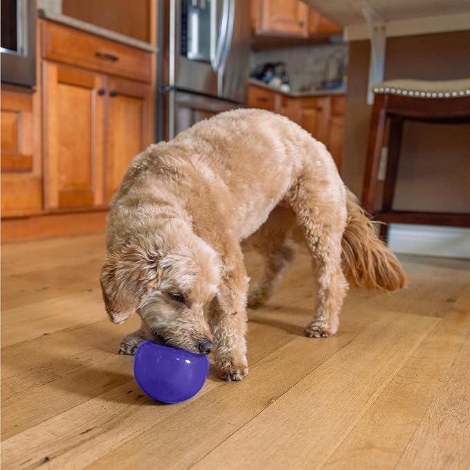 Outward Hound Lil' Snoop Interactive Treat Dispensing Dog Toy, Puzzle Ball Slow Feeder for Small to Medium Dogs, Mint-Scented for Mental Stimulation & Boredom Relief, BPA-Free, 3.9-Inch, Purple