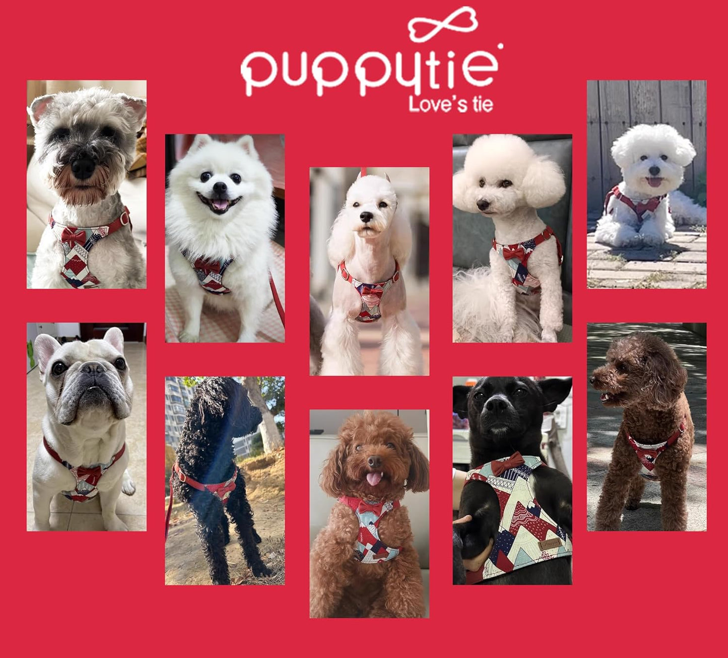 Puppytie No Pull xs Dog Harness with Multifunction Dog Leash,Soft Adjustable No Choke Escape Proof Pet Harness Vest,Suede Bow red,XXS