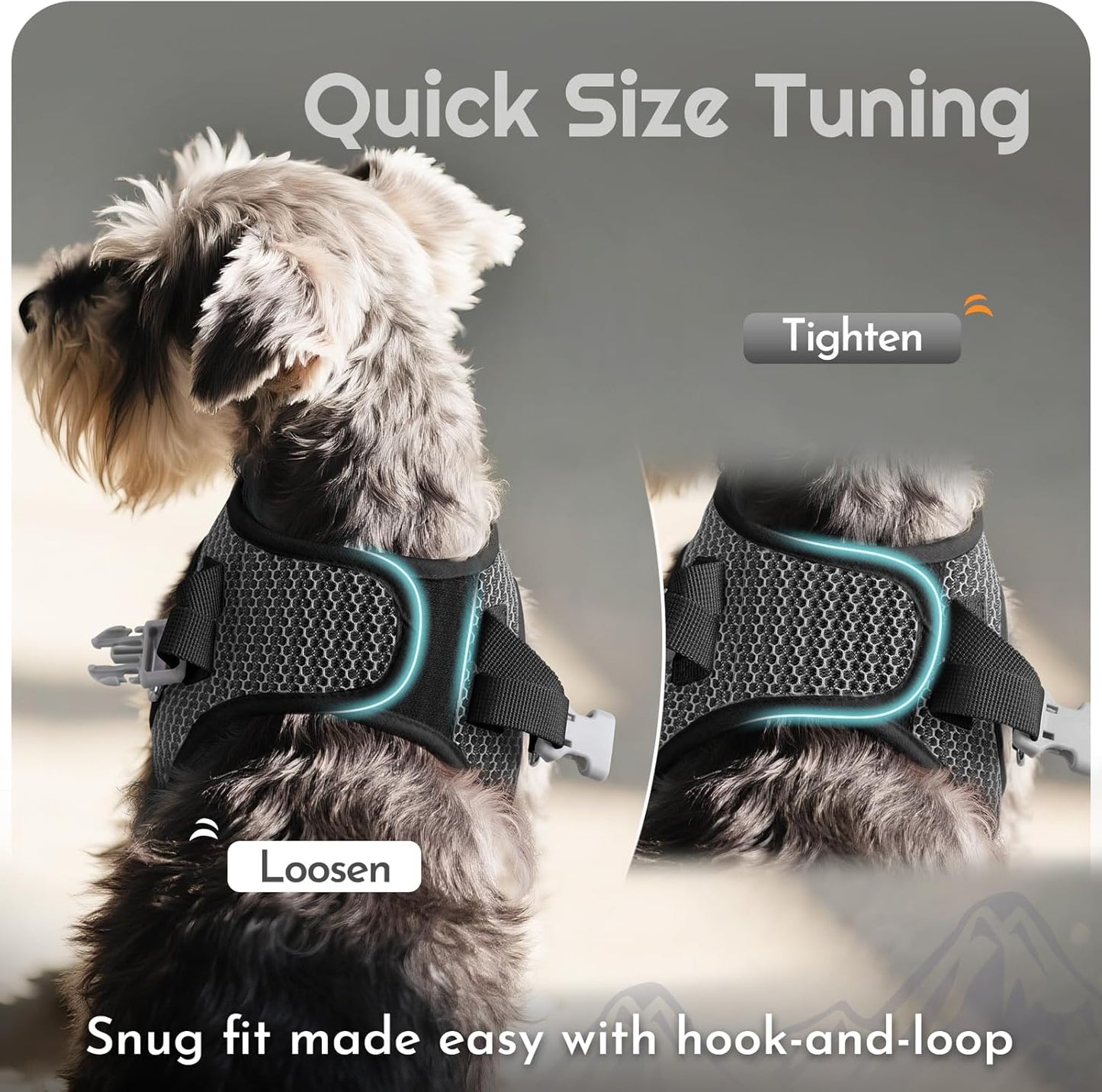 Eagloo Small Dog Harness and Leash Set, Step in Puppy Vest with Breathable Soft Mesh, Walking Reflective Pet Harness for Medium Small Dogs, Gray, L