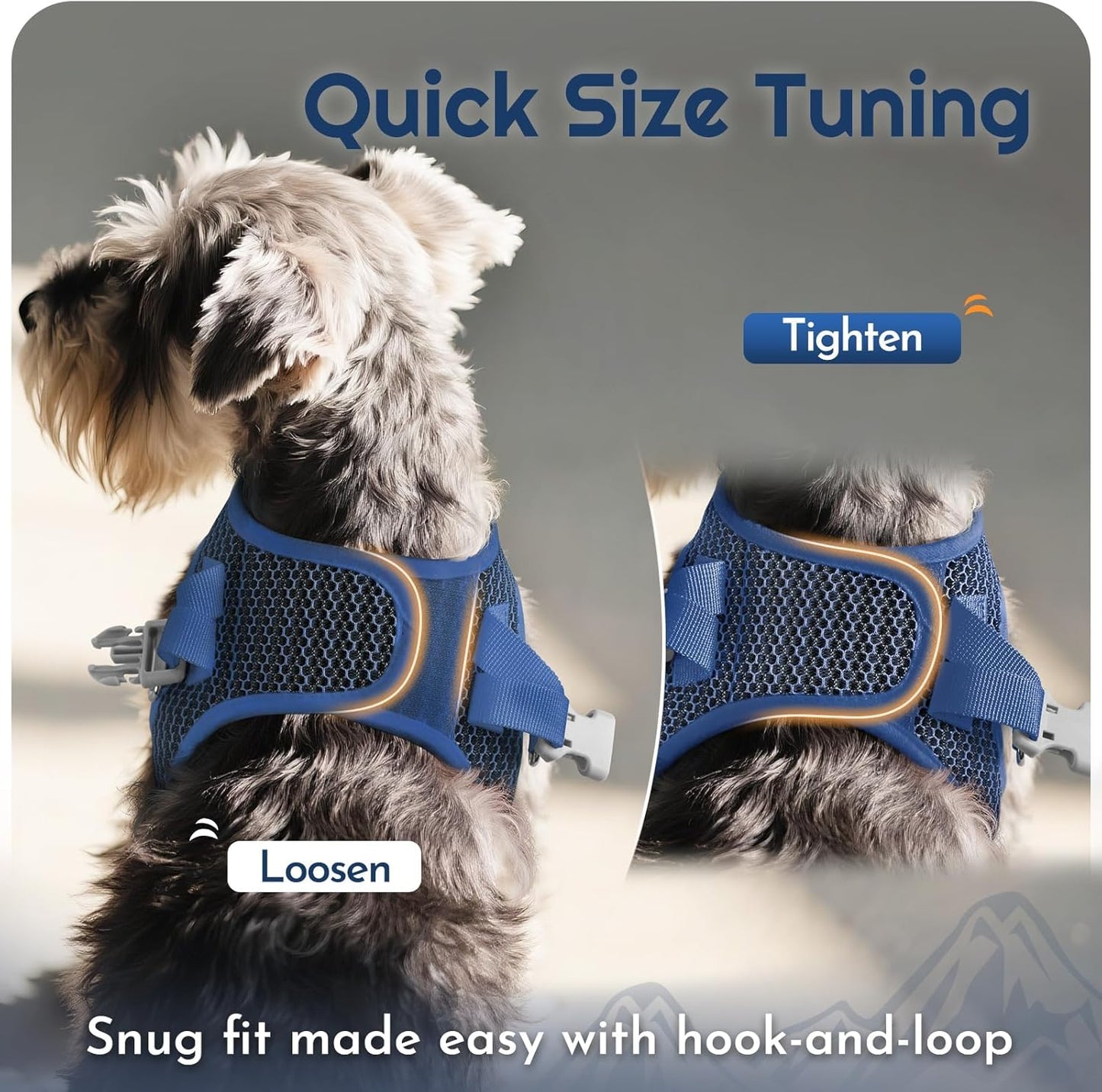 Eagloo Small Dog Harness and Leash Set, Step in Puppy Vest with Breathable Soft Mesh, Walking Reflective Pet Harness for Small Dogs, Navy Blue, S