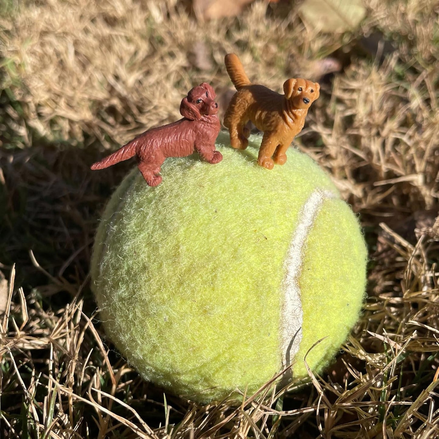 Safari Ltd. Good Luck Minis Pet Fun Pack - 8 Mini Figurines of Household Pets - Toy for Boys, Girls, and Kids Ages 5+