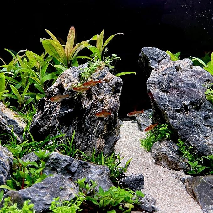 2-8 Inches Natural Seiryu Stone 5 PCS Aquarium Rocks for Aquascaping, Aquarium Landscaping, Terrariums, Fish Tank Decoration, Vivariums, Paludarium, Reptile and Amphibian Enclosures