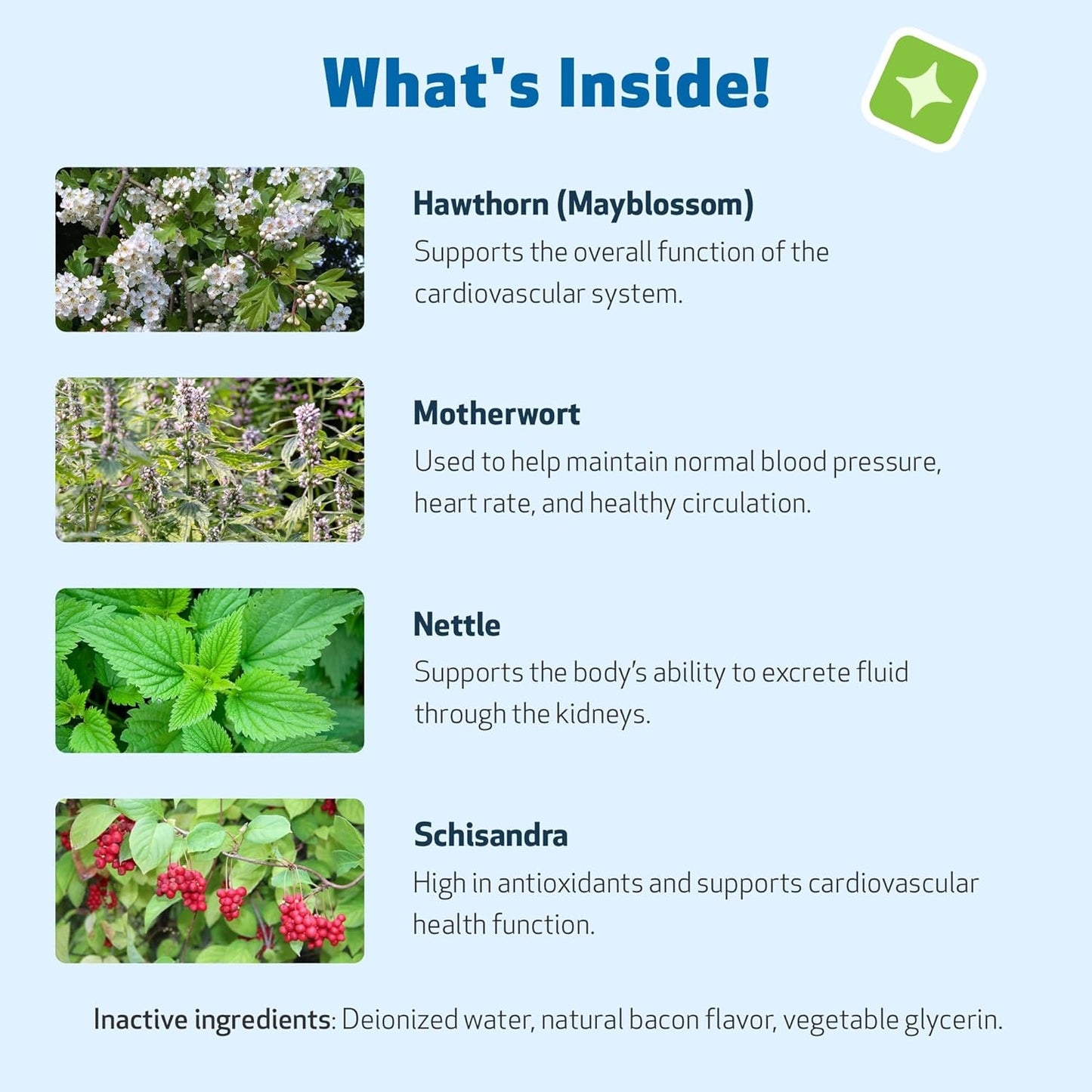 Pet Wellbeing Young at Heart for Cats - Vet-Formulated - Heart Health, Circulatory & Cardiovascular System, Hawthorn, Motherwort, Schisandra - Herbal Supplement 2 oz (59 ml)