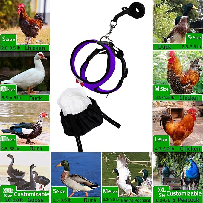 Adjustable Chicken Harness Diaper (5.4ft Leash) – Breathable & Washable Secure Training for Hens, Ducks & Chicks | Outdoor Walking & Discipline Solution