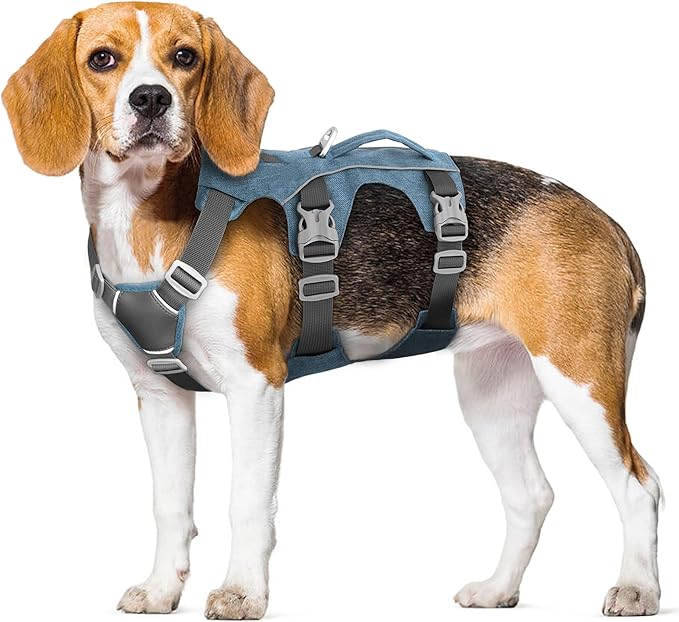 Escape Proof Dog Harness Small Sized Dog, Reflective No Pull Dog Vest with Handle, Lightweight Full Body Pet Harness Adjustable for Walking,Training(Blue,Chest:16-27")